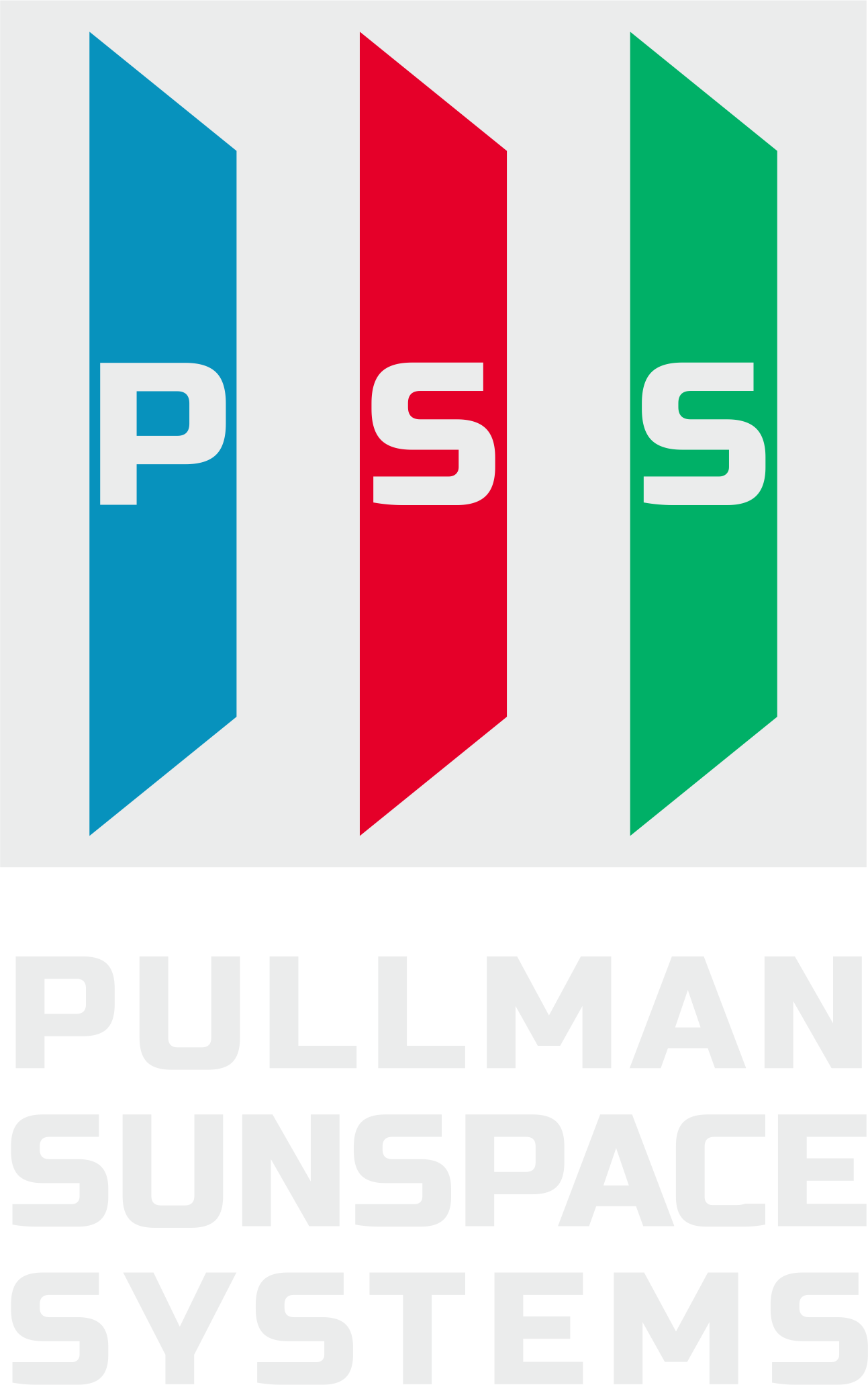 PSS _ LOGO (color)